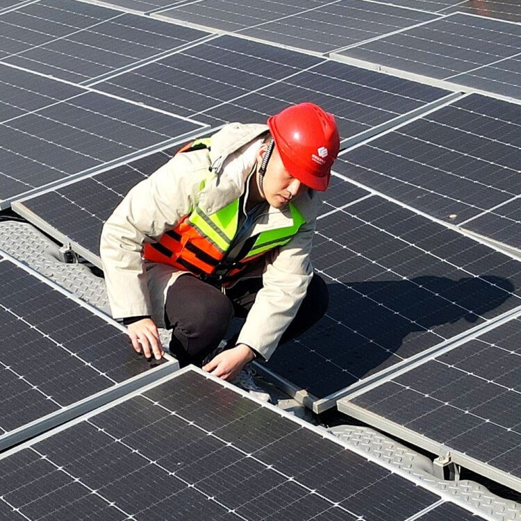 Как Китай совершил «зеленую революцию»